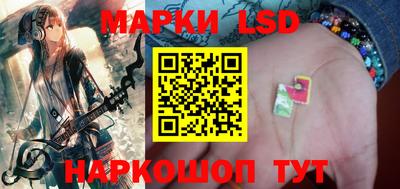 прущие грибы Кандалакша
