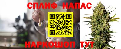прущие грибы Кандалакша