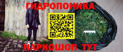 прущие грибы Кандалакша