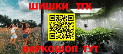 прущие грибы Кандалакша