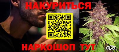 сатива Канаш