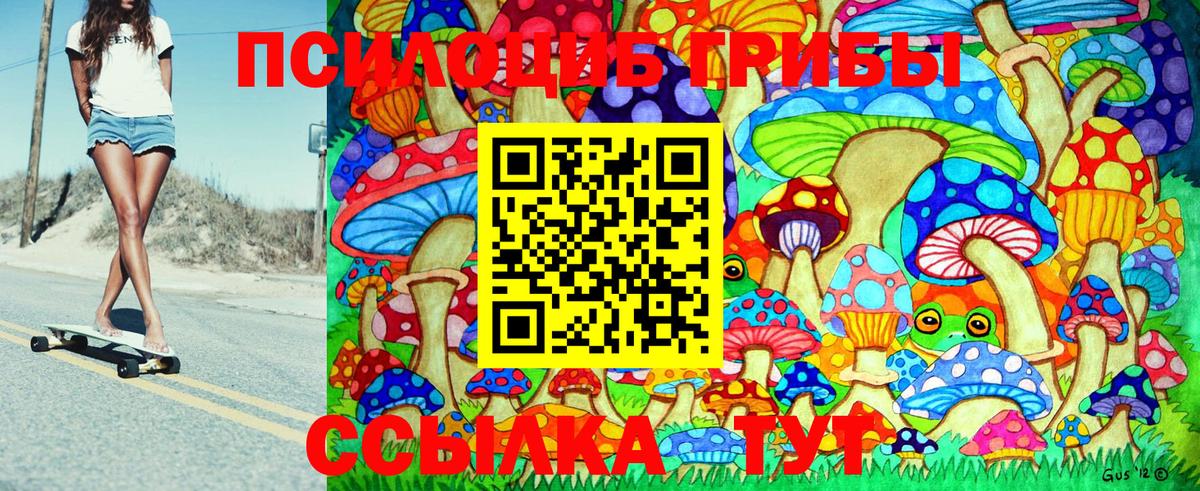 Коркино  Псилоцибиновые грибы Cubensis  Вход с VPN  Галлюциногенные грибы MAGIC MUSHROOMS 